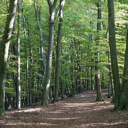 Gasthof Kraxner فندق Hatzendorf