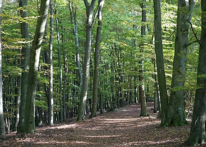 Kraxner 호텔 Hatzendorf